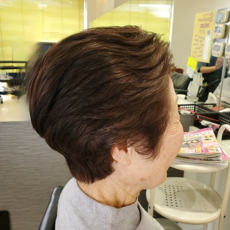 Woman over 70 with a chestnut wedge cut — profile and back — short layered haircut back view for women over 70