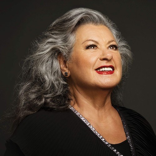 Dark Waves Threaded With Silver — thick hair haircut on a woman over 70